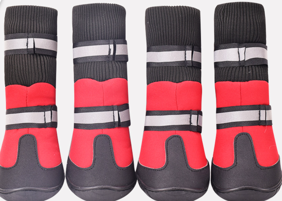 Dog Shoes 3