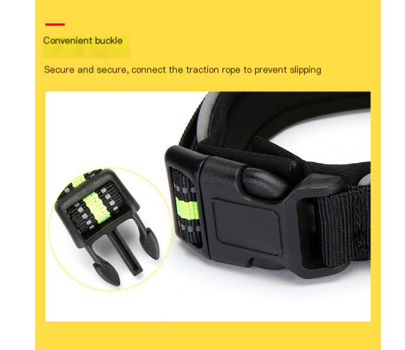 Comfortable Dog Collar Features