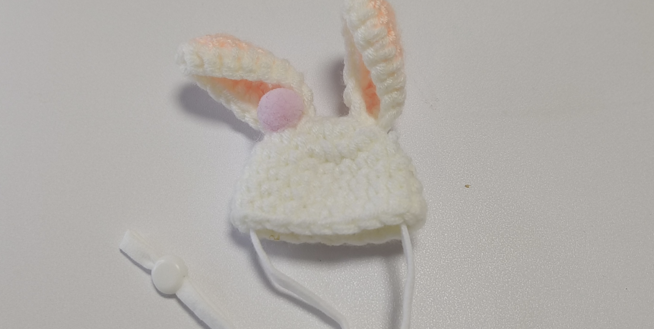 Pet Hat 6