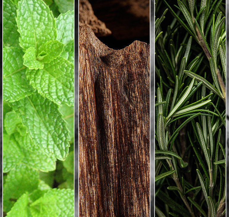 Gentlemen's Fashion Perfume Display