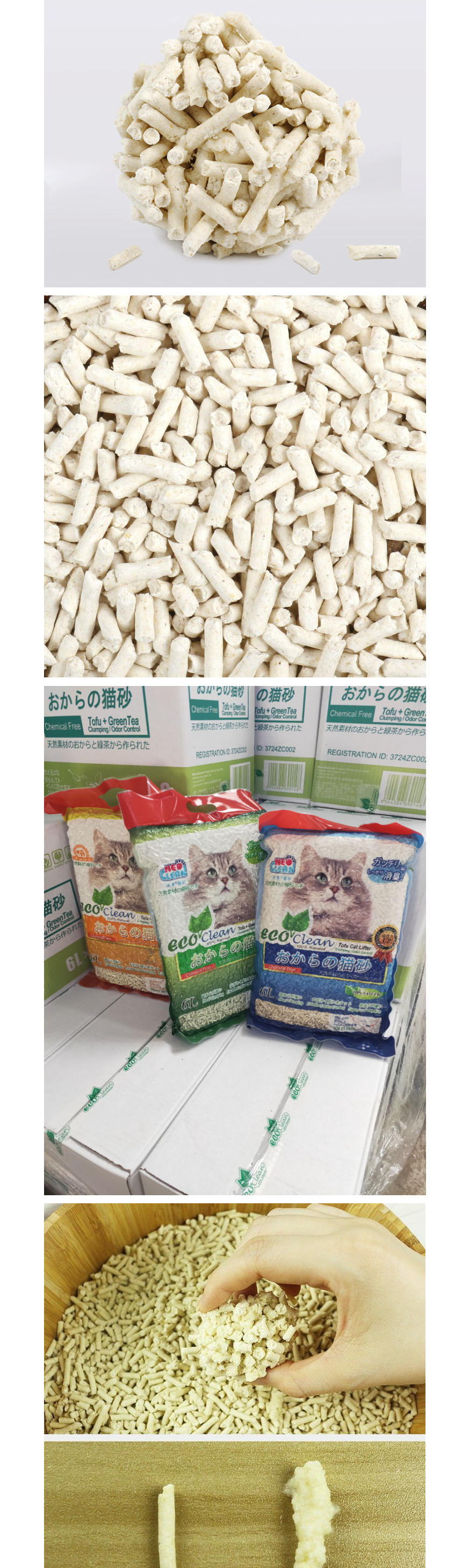 Cat using Tofu Litter