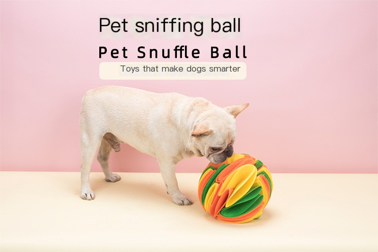Sniffing Ball Mat Image 2