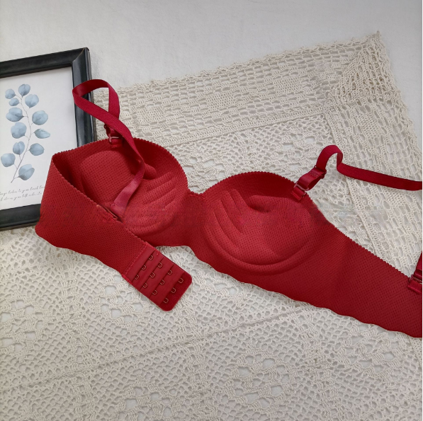 Bra Image