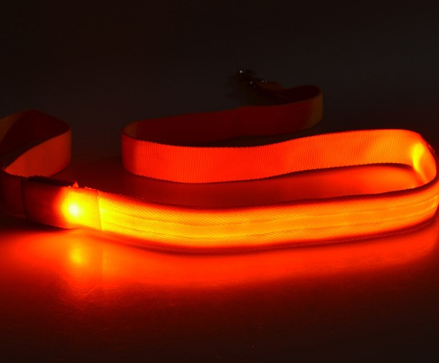 LED Light-Up Dog Leash - Image 2