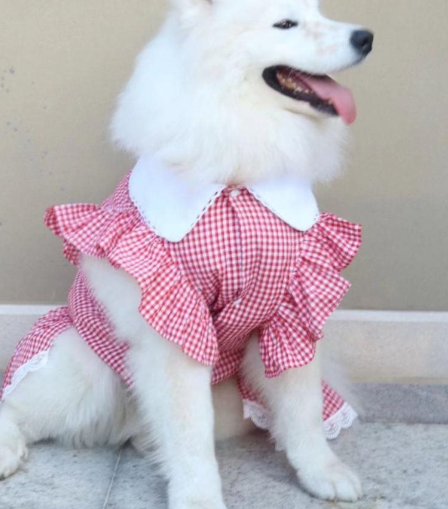 Pet Dress Image 3