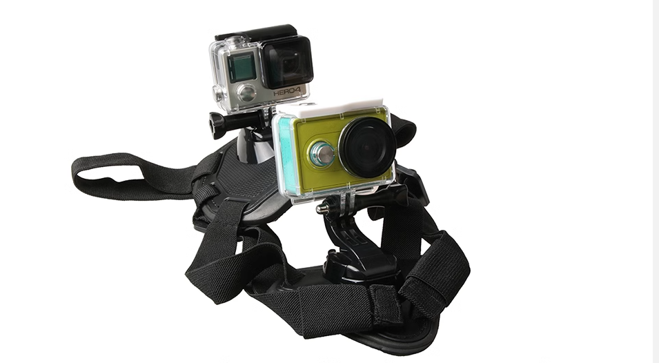 Dog Harness Image 3