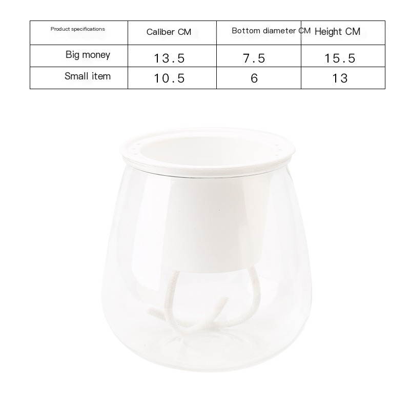 Transparent Flowerpot