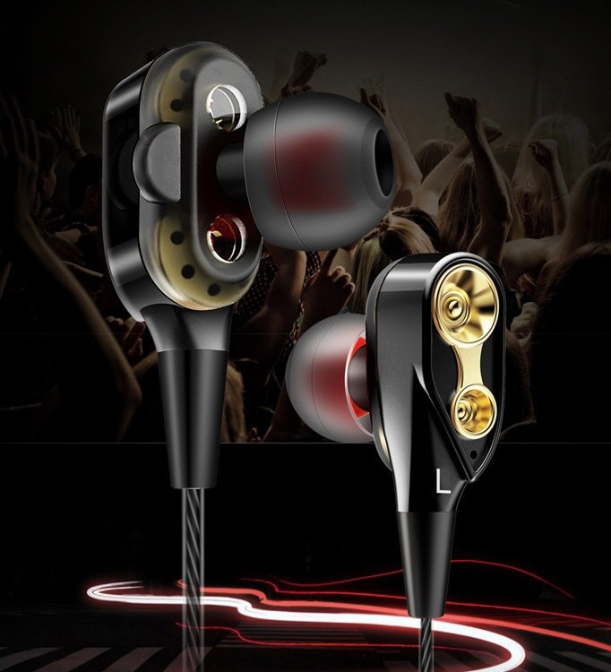 Dual Moving Coil In-Ear Headphones