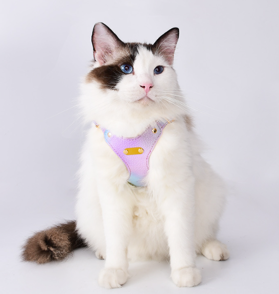 Pet Harness