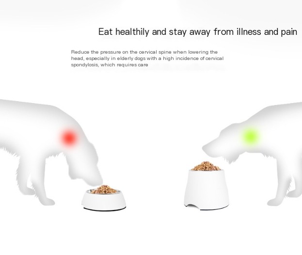 Pet Feeding Bowl 5