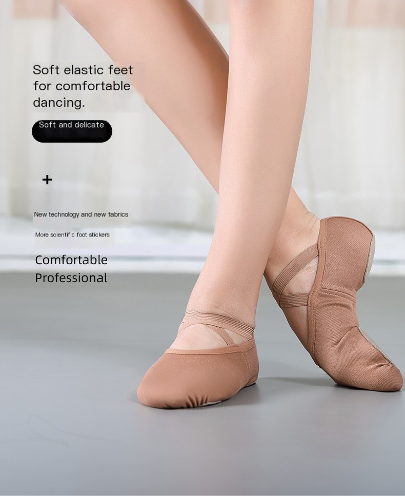 Dance Shoes Image 3