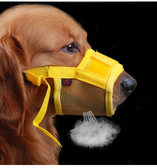 Muzzle Comfort Image 10