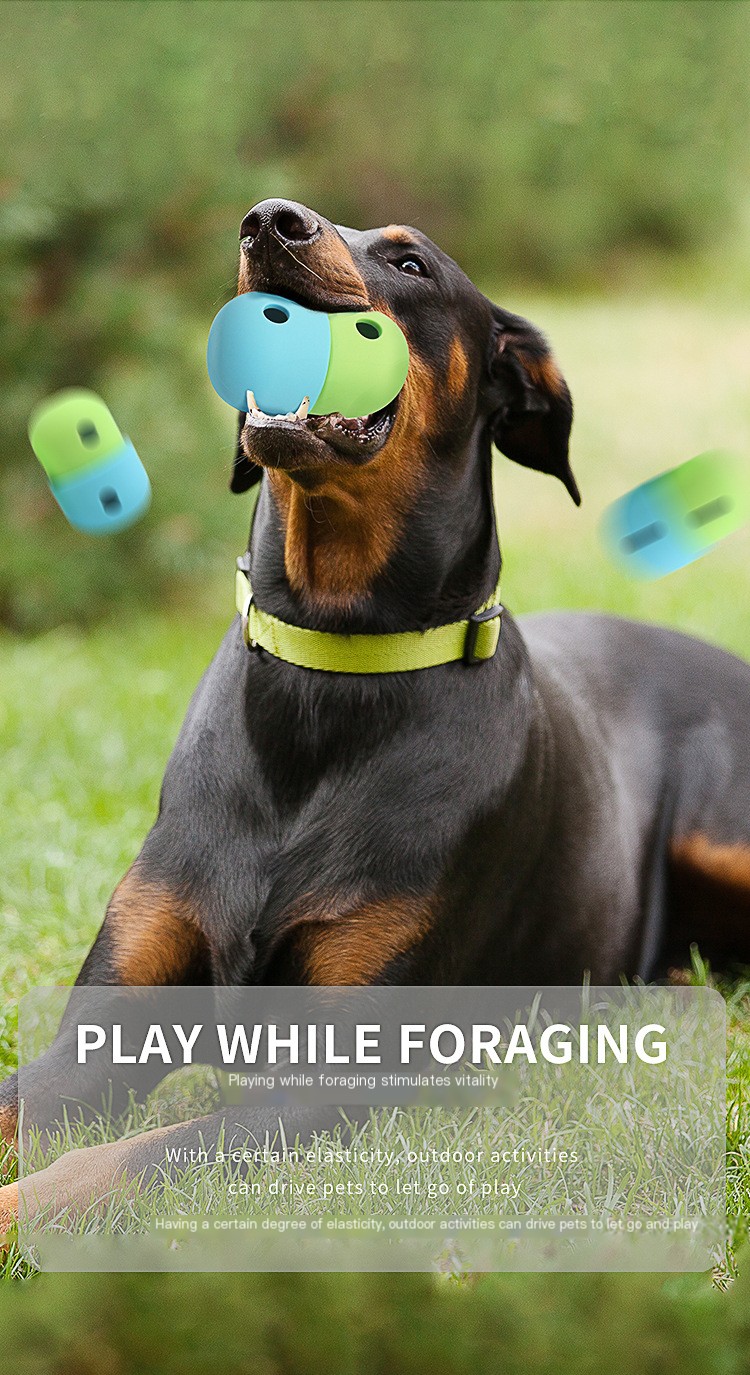 Engaging Dog Toy