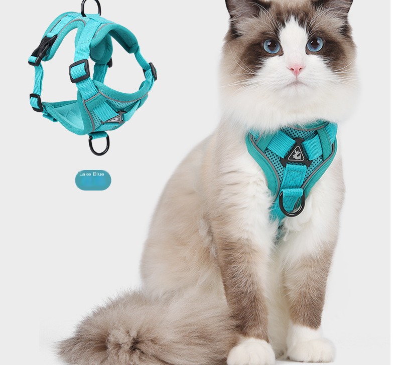 Cat Harness 6