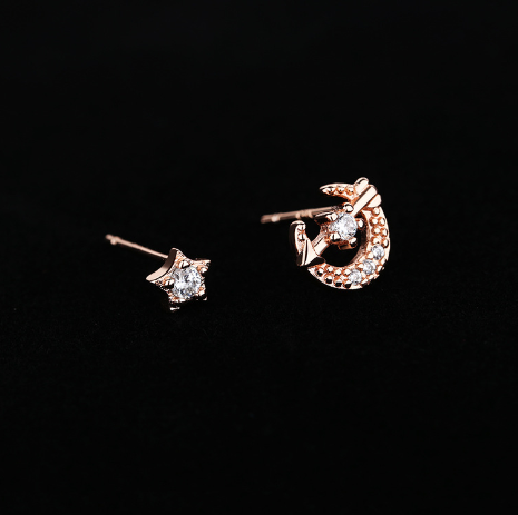 Elegant Design of Earrings