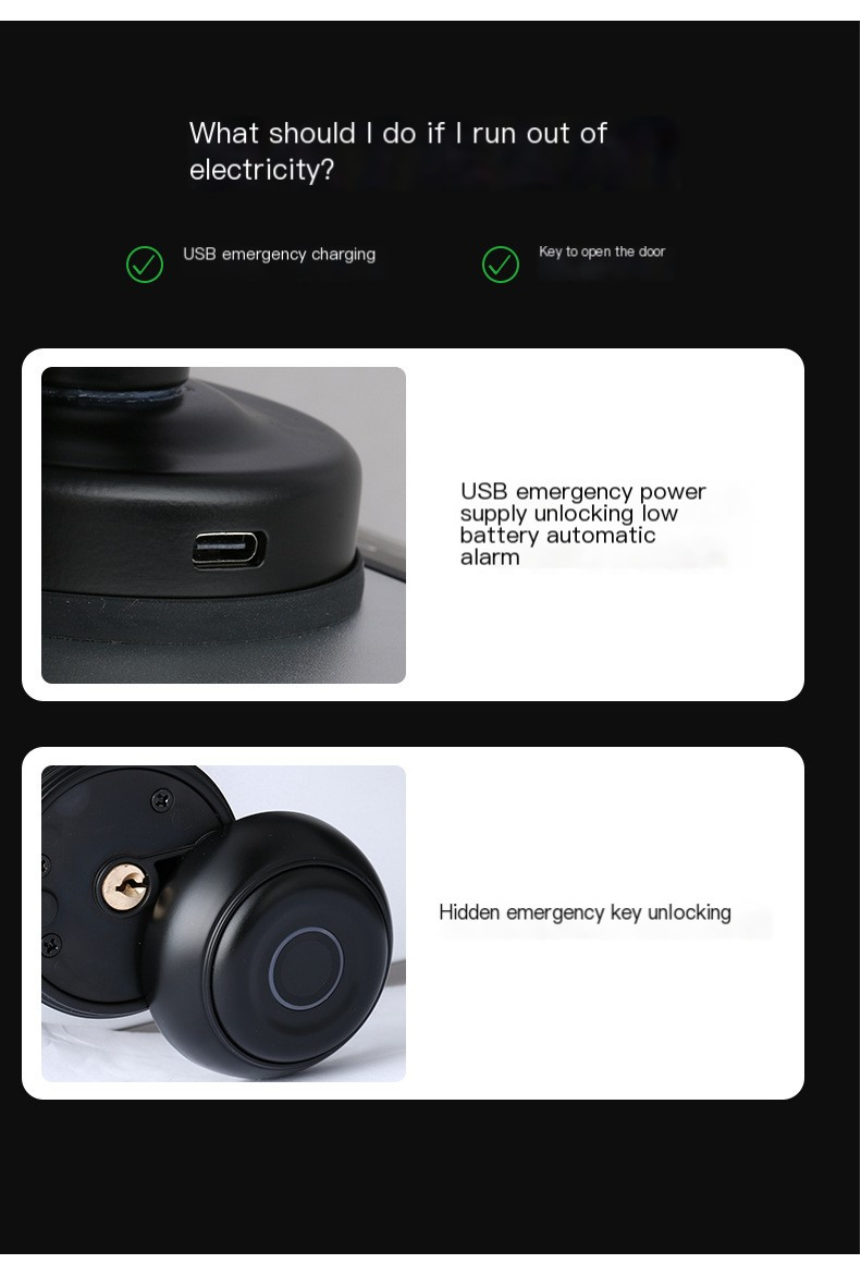 Spherical Fingerprint Lock Image 8