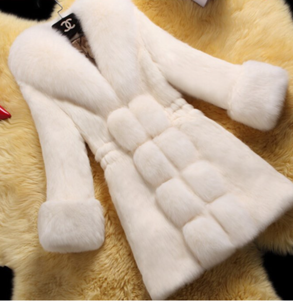Detail of the Coat