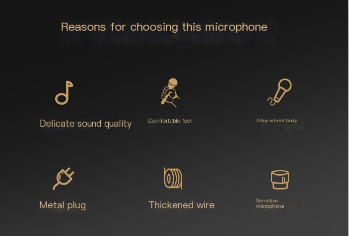 Metal Wired Microphone Image 2