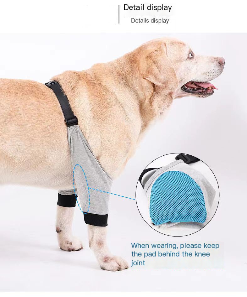 Dog Leg Injury Protection Cover Image 5
