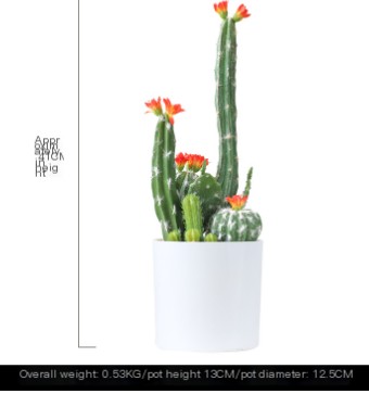 Artificial Cactus Plant 1