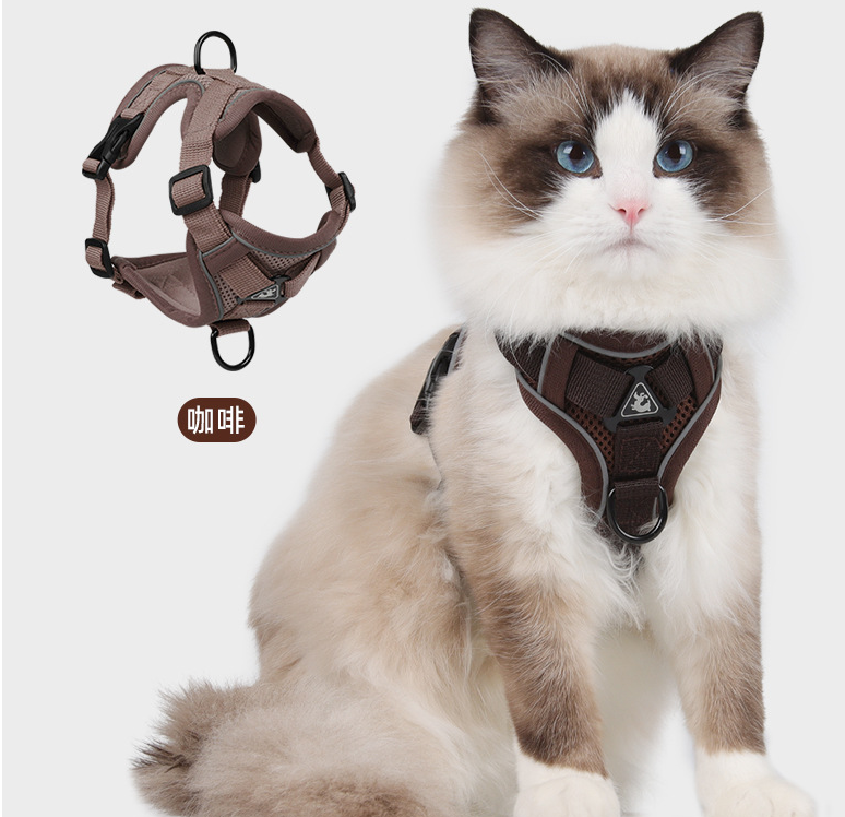 Cat Harness 8