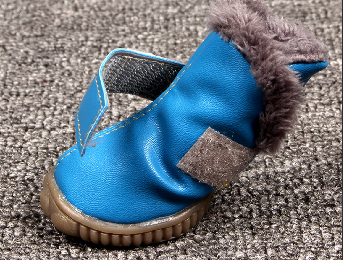 Dog wearing snow boots on the snow