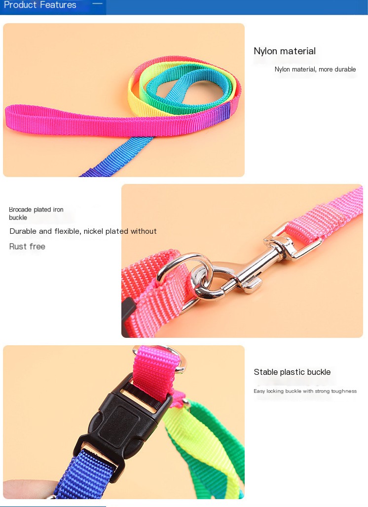 Colorful Pet Leash 2