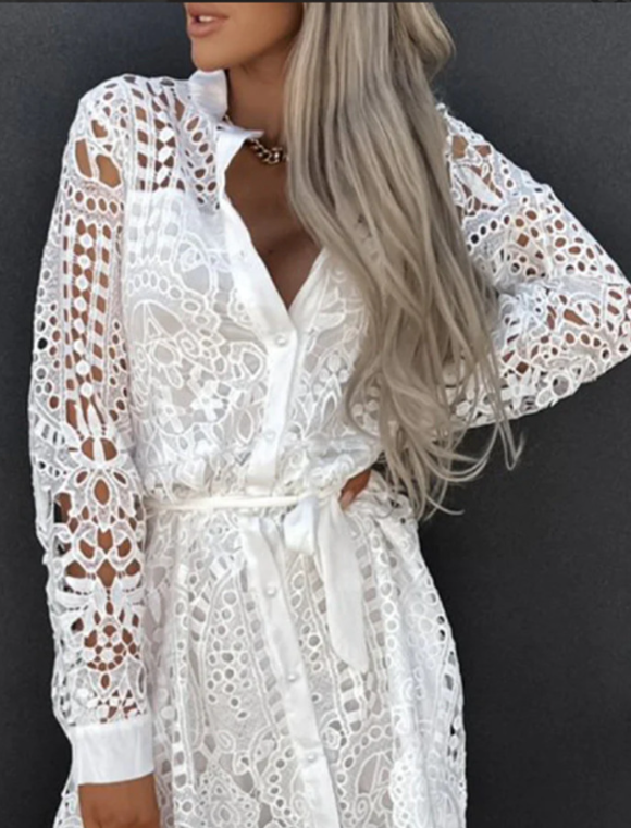 Elegant Lace Dress