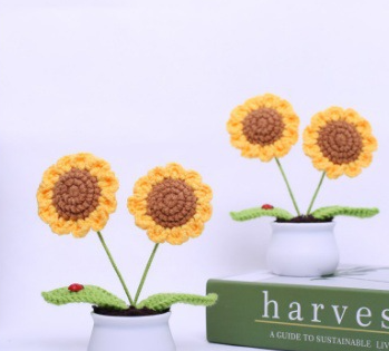 Sunflower in Pot