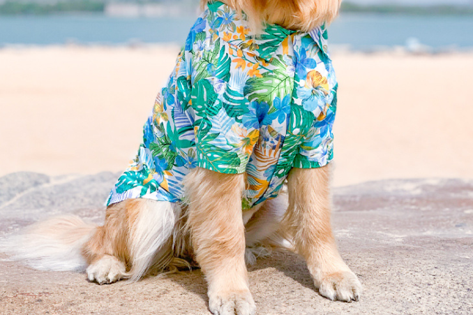 Dog Summer Shirt 3