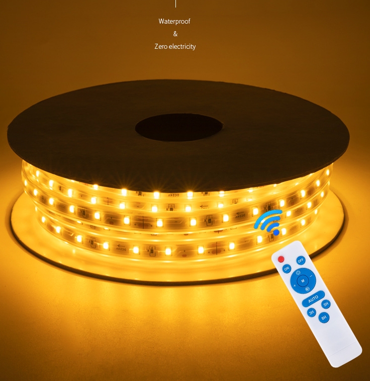 Bright Solar LED Light