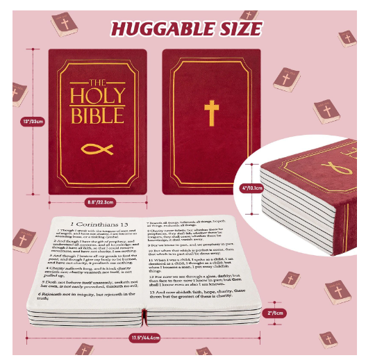 Bible Pillow Fun Design