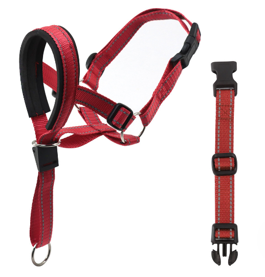 Creative Dog Halter