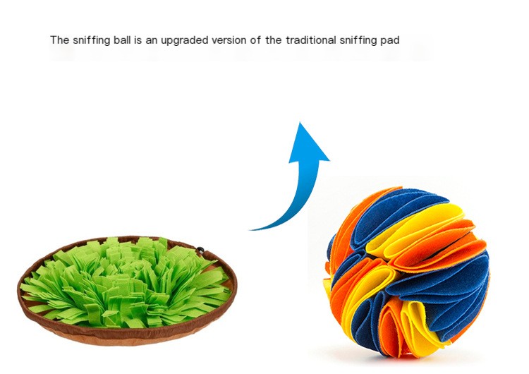 Sniffing Ball Mat Image 3