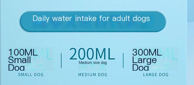 Dogs Go Out Kettle Drinker Blue