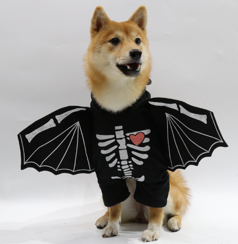 Pet Cowboy Costume - Variation 1