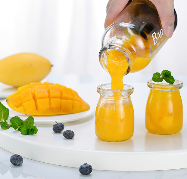 Fruit Juicer