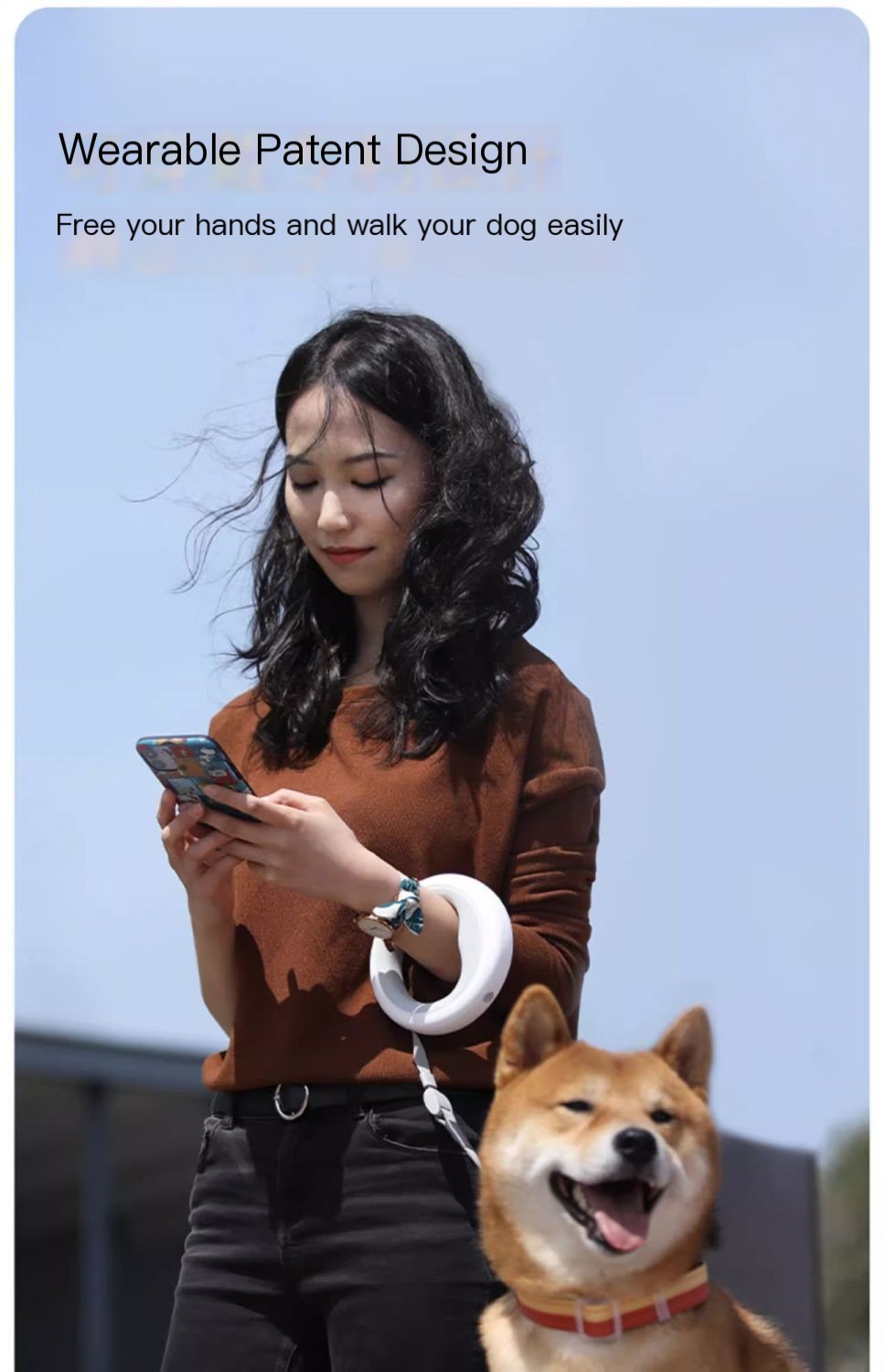 Dog Leash Image 3