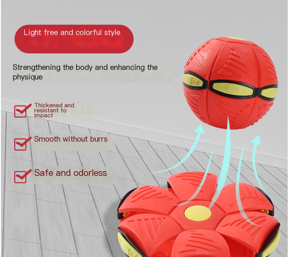 Flying Disc Ball Image 2