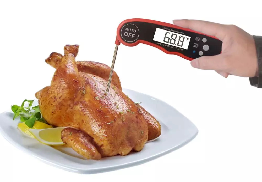 Digital Thermometer Image 2