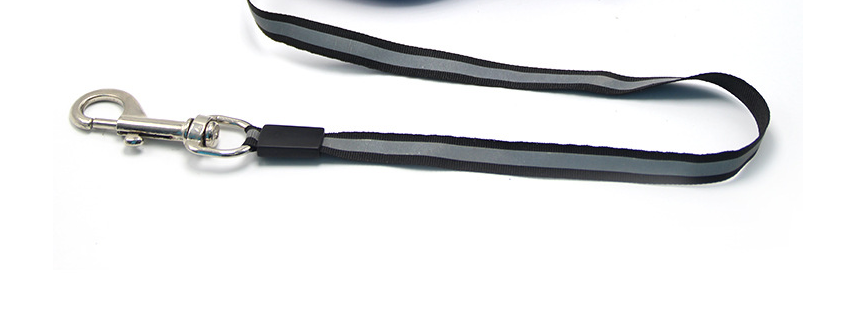 Pet Dog LED Leash - Blue