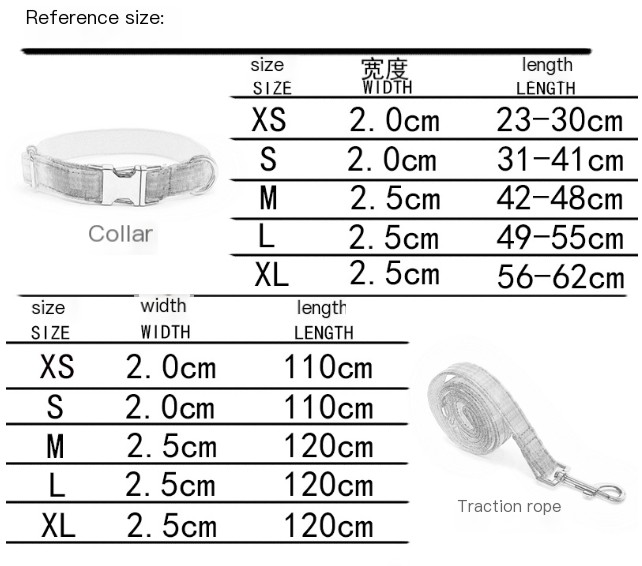 Collar Leash Set Image 1