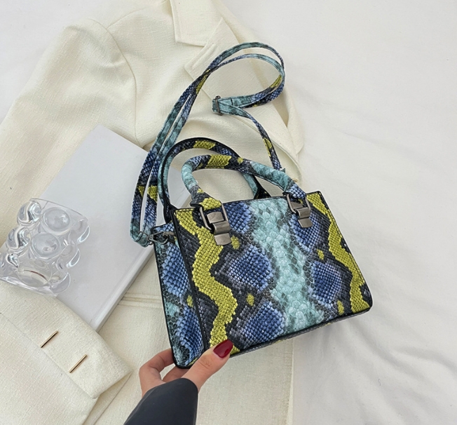 Snake Print Handbag Front View