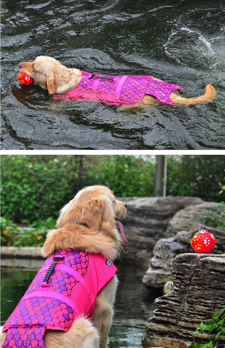 Pet Life Jacket 1