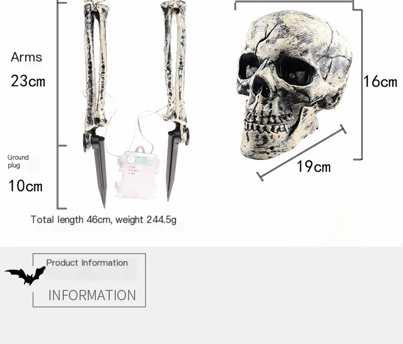 Skeleton Display 11