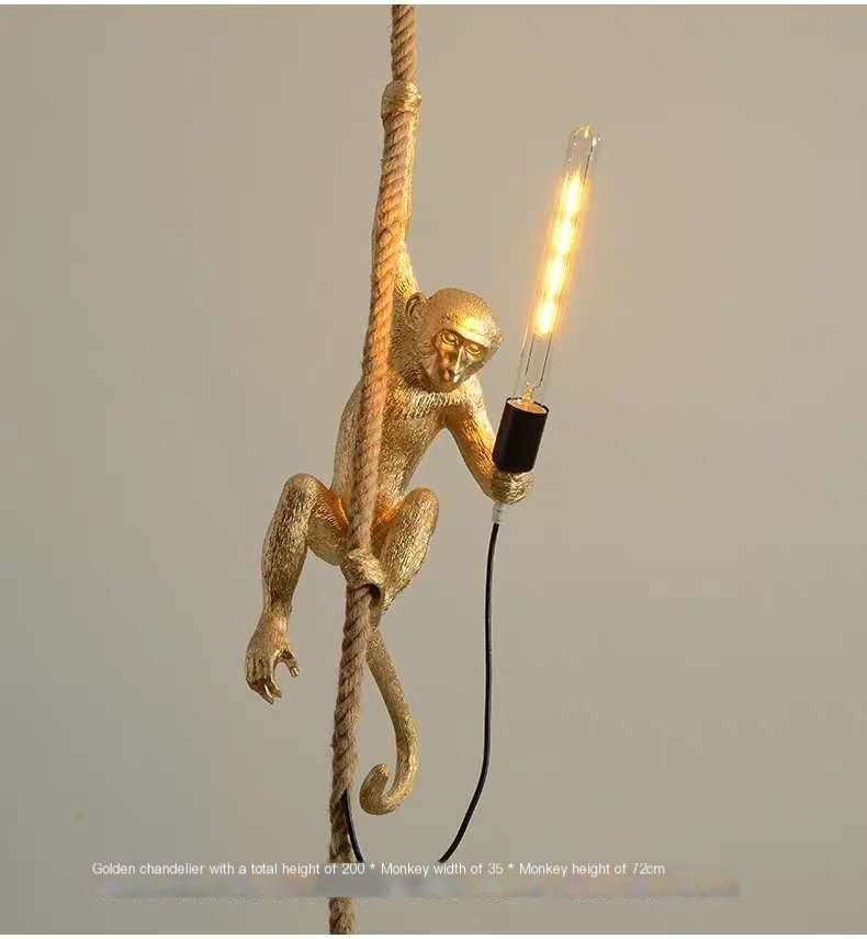 Charming Monkey Lighting