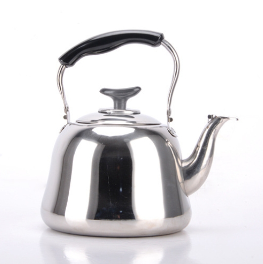 Stainless Steel Tea Kettle Image 1
