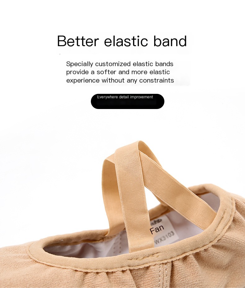 Ballet Shoes Image