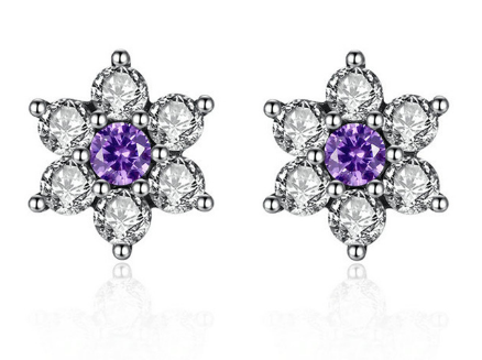 Elegant Silver Earrings