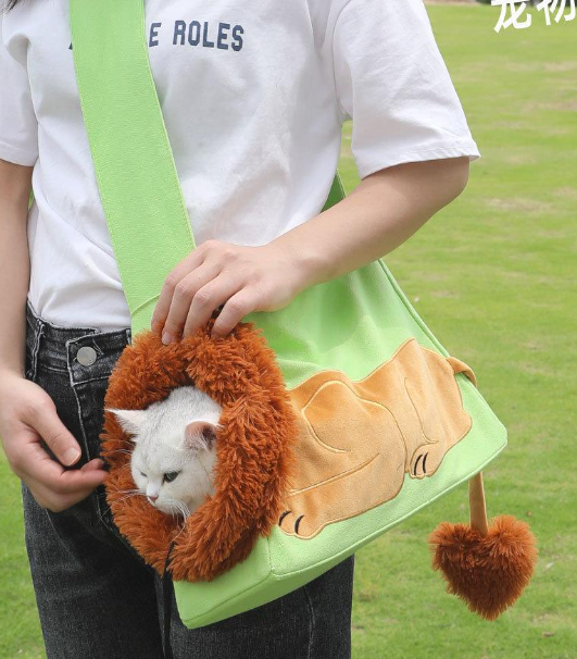 Pet Outing Backpack Bag